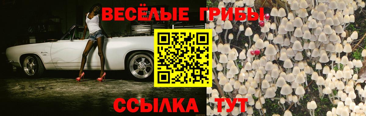 Владикавказ  Псилоцибиновые грибы мицелий  Вход с VPN  Галлюциногенные грибы GOLDEN TEACHER 